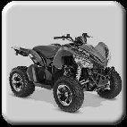 arctic_cat_03001003.jpg