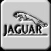 jaguar001033.jpg