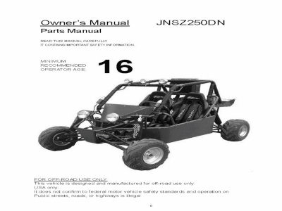 joyner 250cc buggy