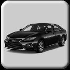 lexus001019.jpg