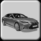 lexus_03001010.jpg