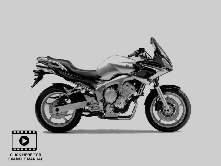 yamaha-fzs6w-fzs6wc-repair-service-manual-and-electrical-wiring-diagrams001009.jpg
