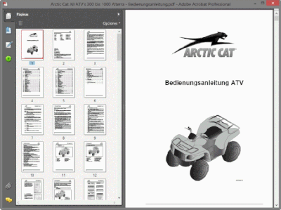 arctic-cat-all-atv-s-300-bis-1000-alterra-bedienungsanleitung001009.gif