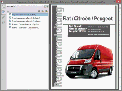 fiat%20ducato%20-%20reparaturanleitung,%20werkstatthandbuch%20-%20elektrische%20schaltplane%20-%20traccia%20didattica.gif
