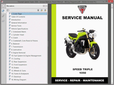 triumph%20speed%20triple%201050%20-%20service%20manual,%20repair%20manual%20-%20wiring%20diagrams.gif